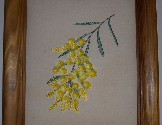 Yellow wattle