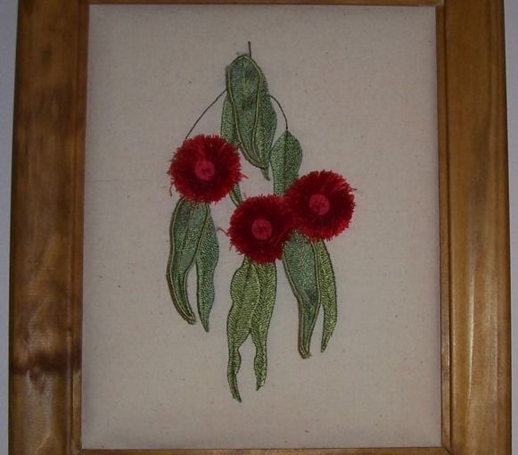 Red Eucalyptus