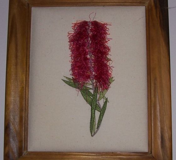Bottlebrush